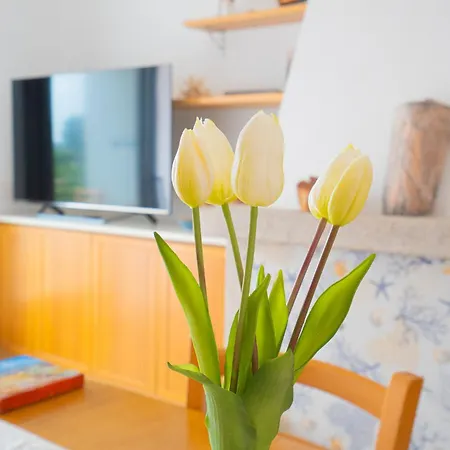 Casa Masini San Teodoro Lejlighed Monte Petrosu