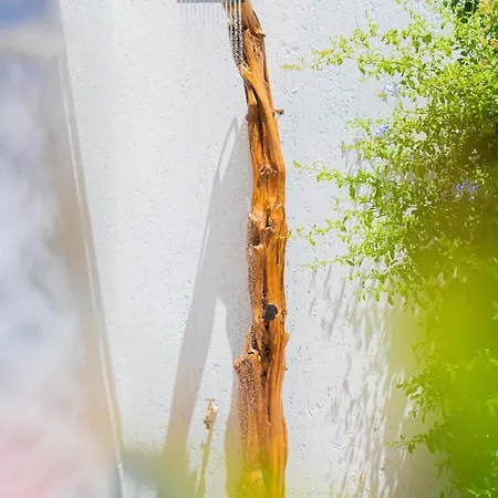 Lejlighed Casa Masini San Teodoro Monte Petrosu