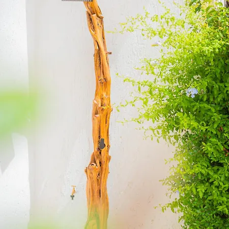 Casa Masini San Teodoro