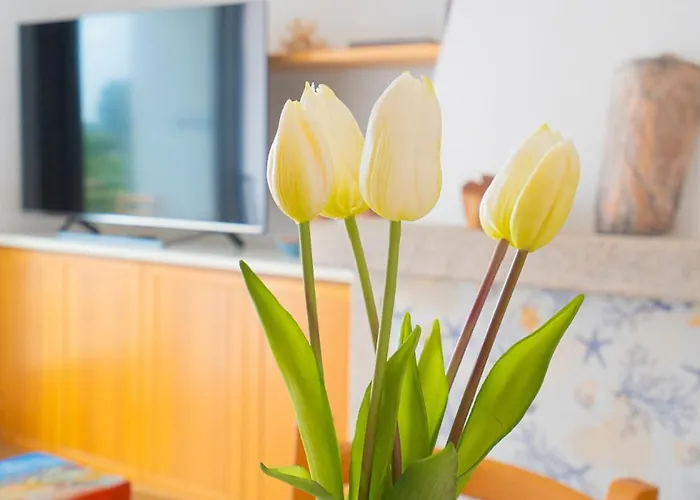 Casa Masini San Teodoro 公寓 蒙特佩特罗素